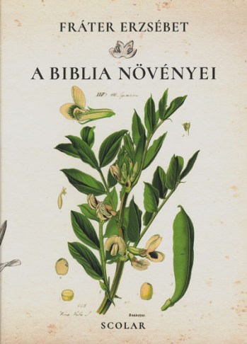 A Biblia növényei (Scolar)
